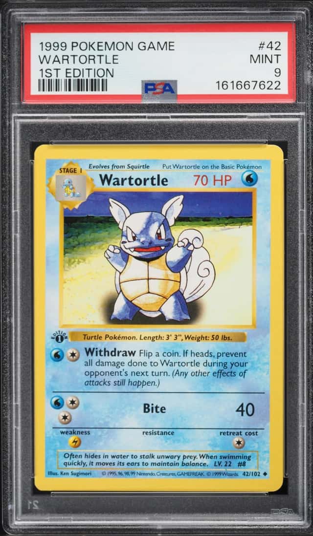 Wartortle