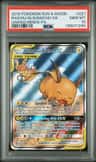 Raichu & Alolan Raichu Gx
