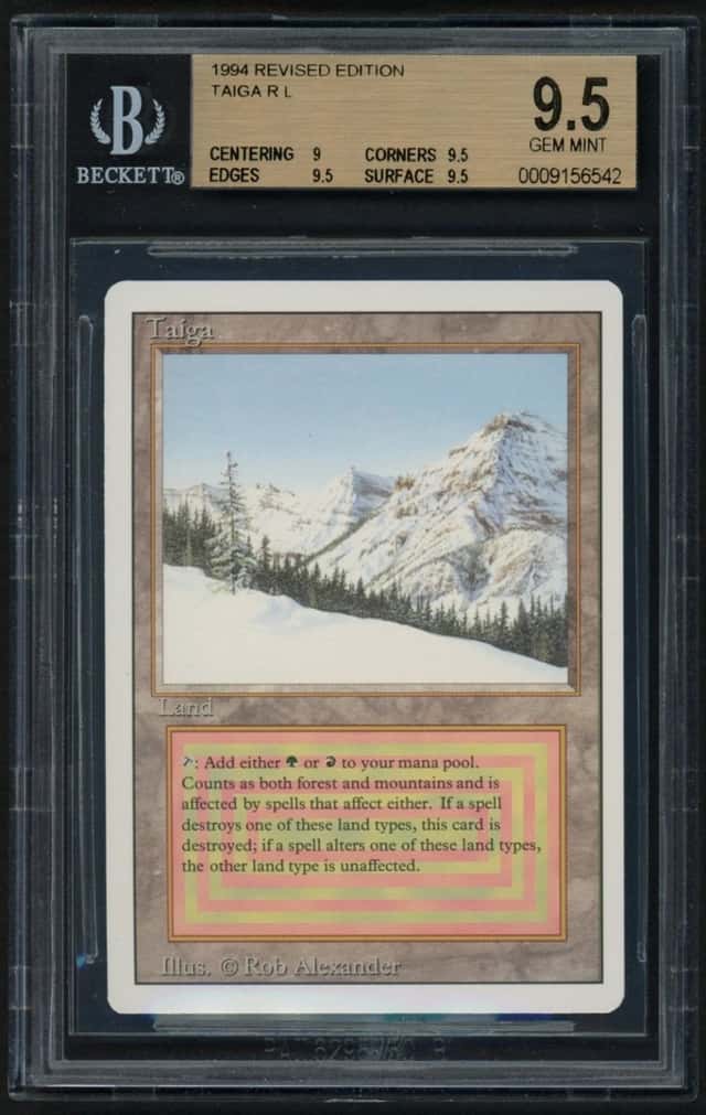 Taiga