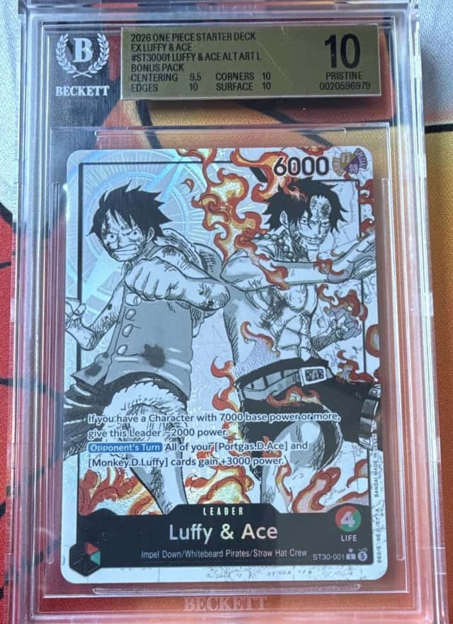 Luffy & Ace