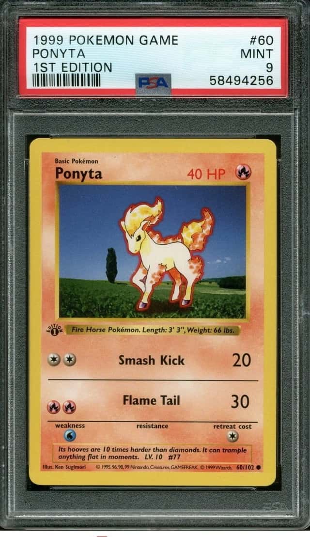 Ponyta