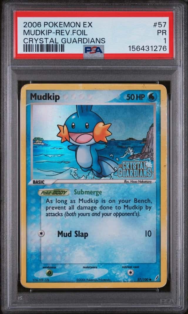 Mudkip