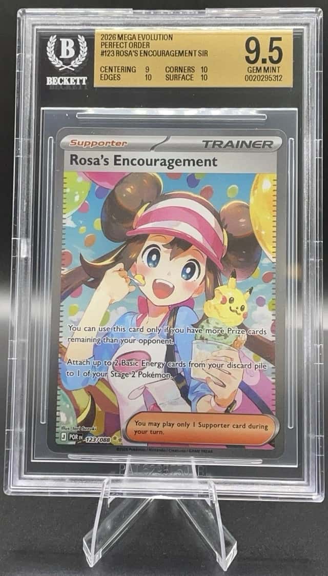Rosa's Encouragement
