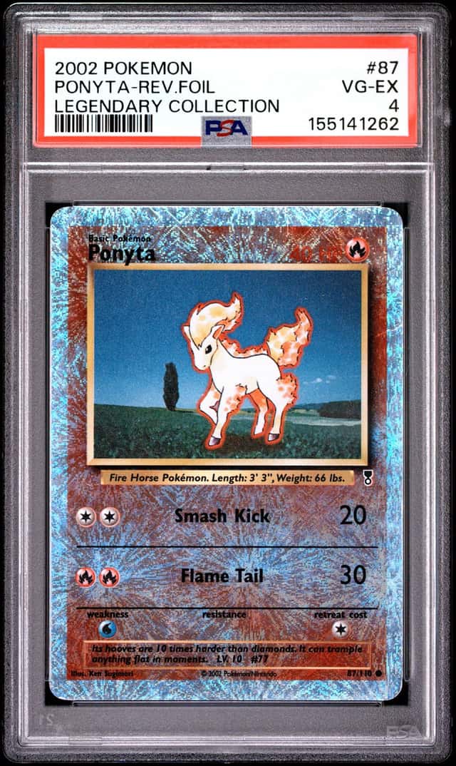 Ponyta