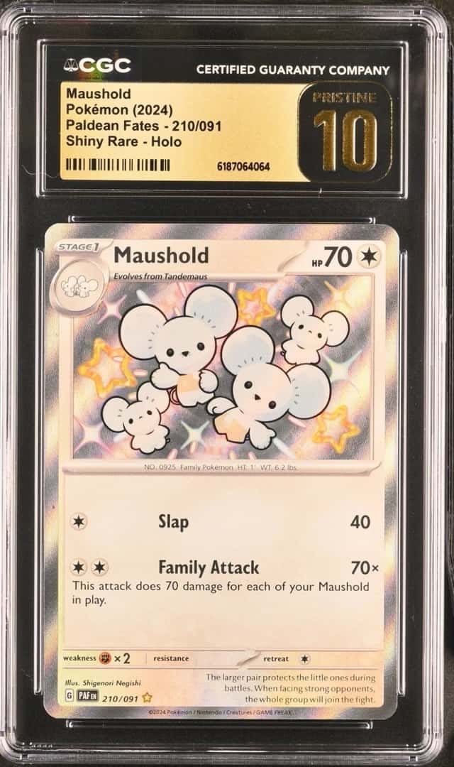 Maushold