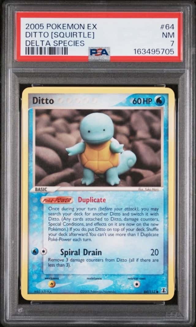 Ditto [Squirtle]