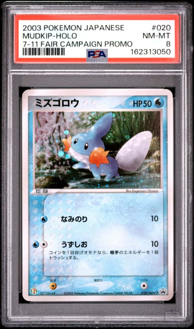 Mudkip