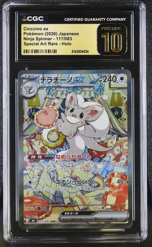 CINCCINO ex