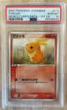 Torchic