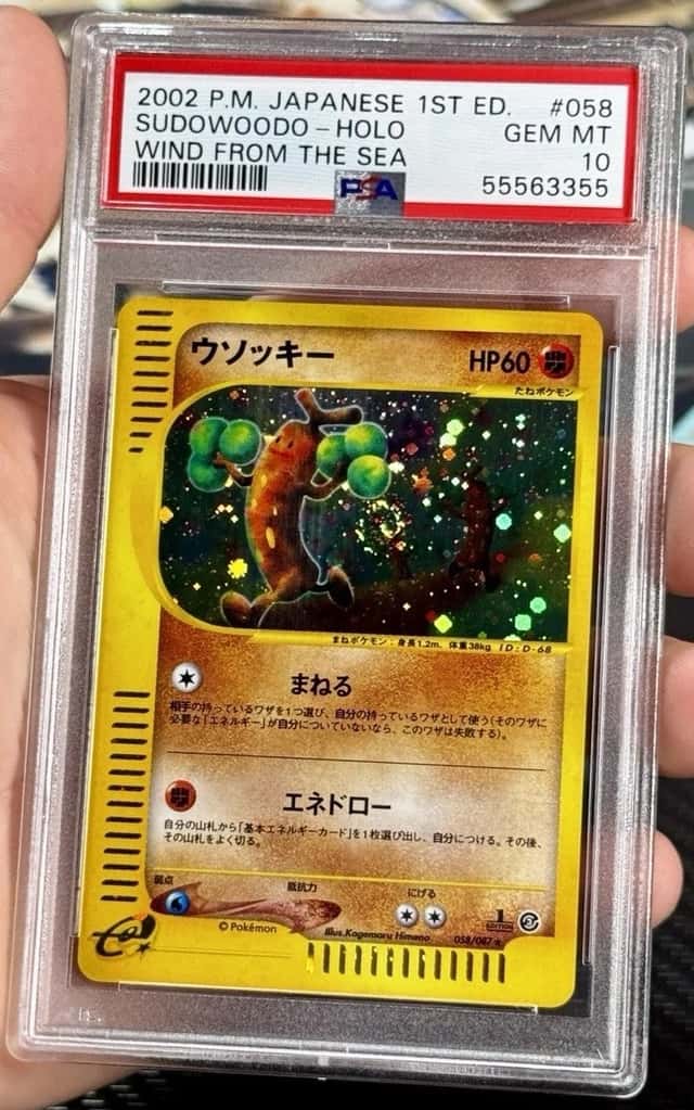 Sudowoodo