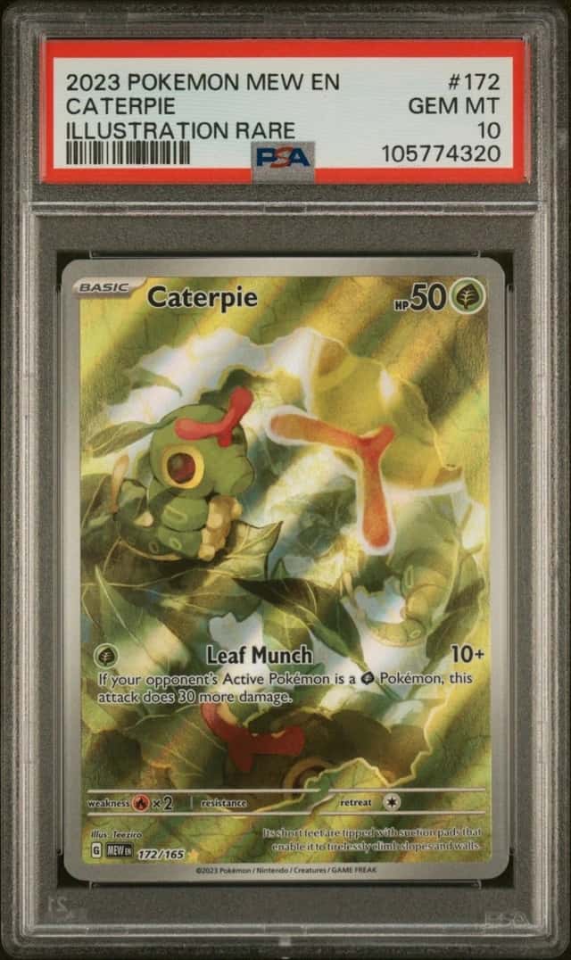 Caterpie