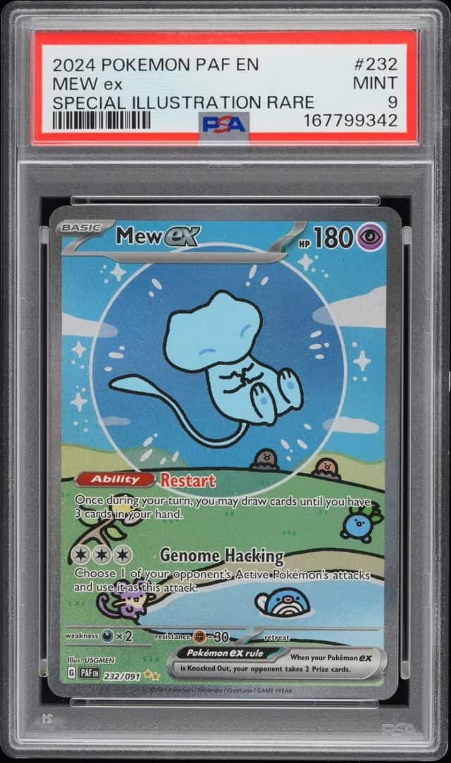 MEW ex