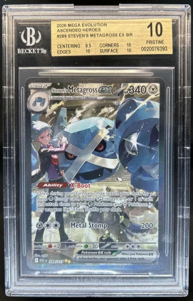 STEVEN'S METAGROSS ex