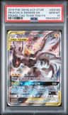 Pikachu & Zekrom Gx