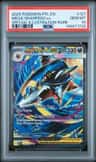 Mega Sharpedo Ex