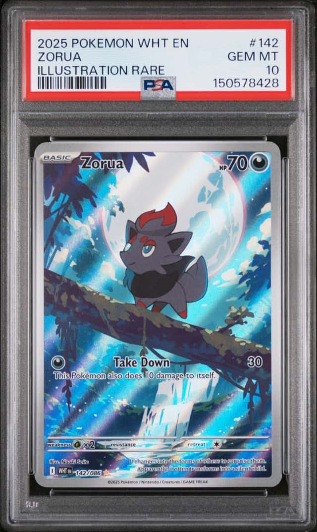 Zorua