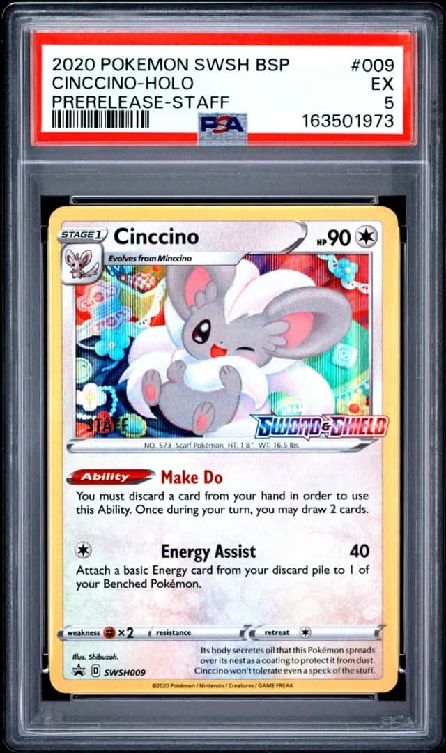 Cinccino