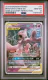 Mewtwo & Mew Gx