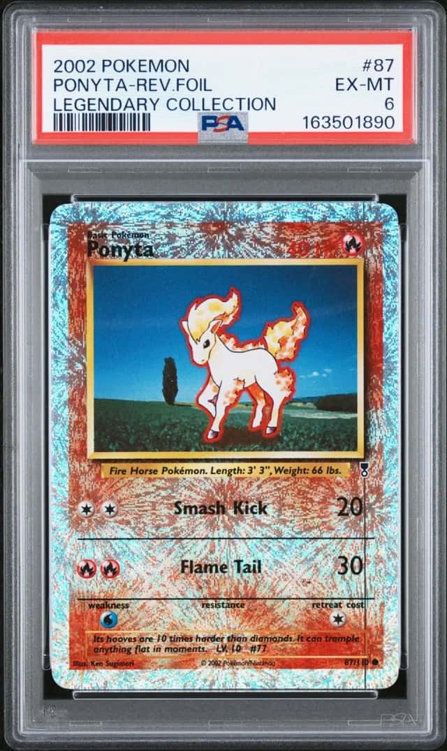 Ponyta