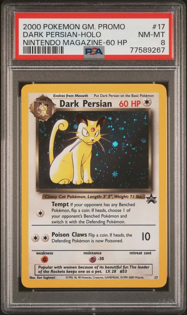 Dark Persian