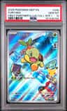 Turtwig