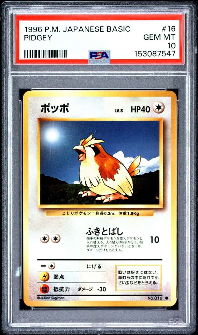 Pidgey