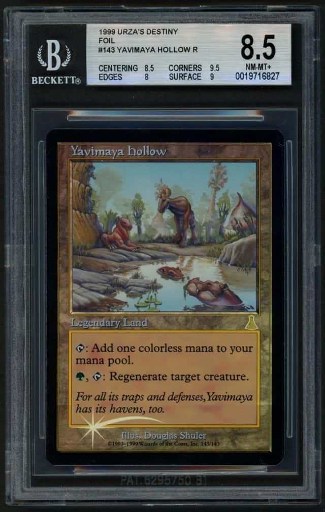 Yavimaya Hollow