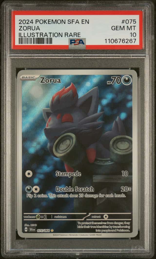 Zorua
