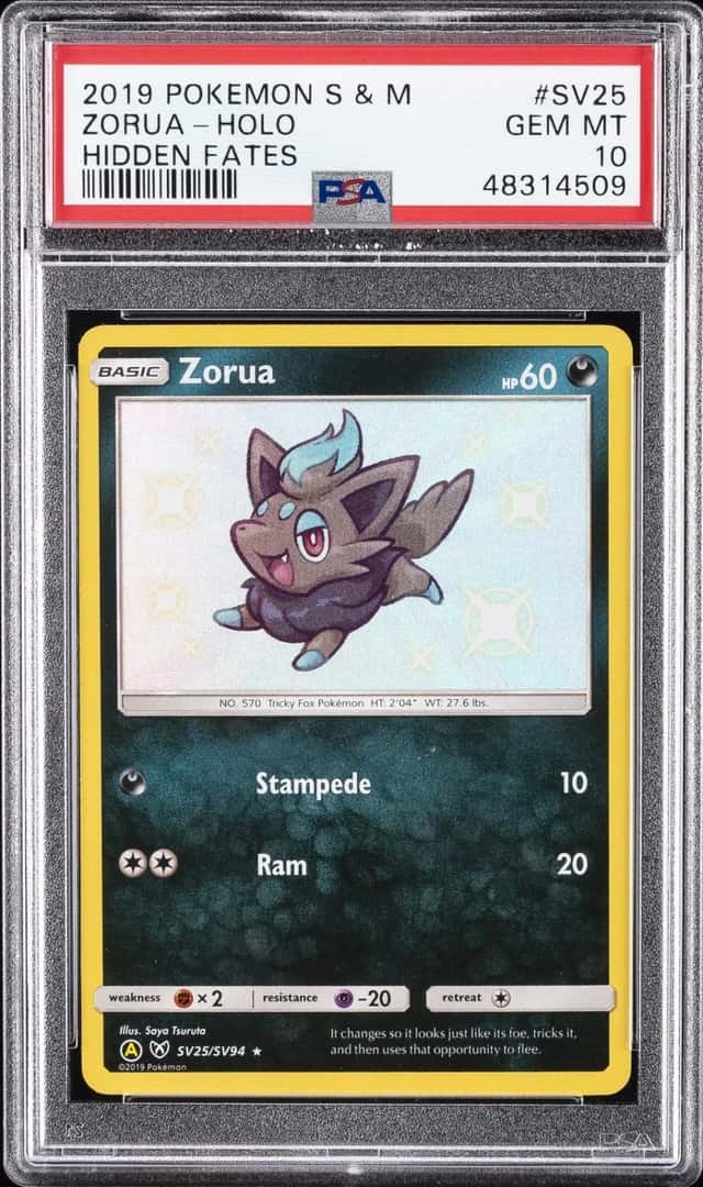 Zorua