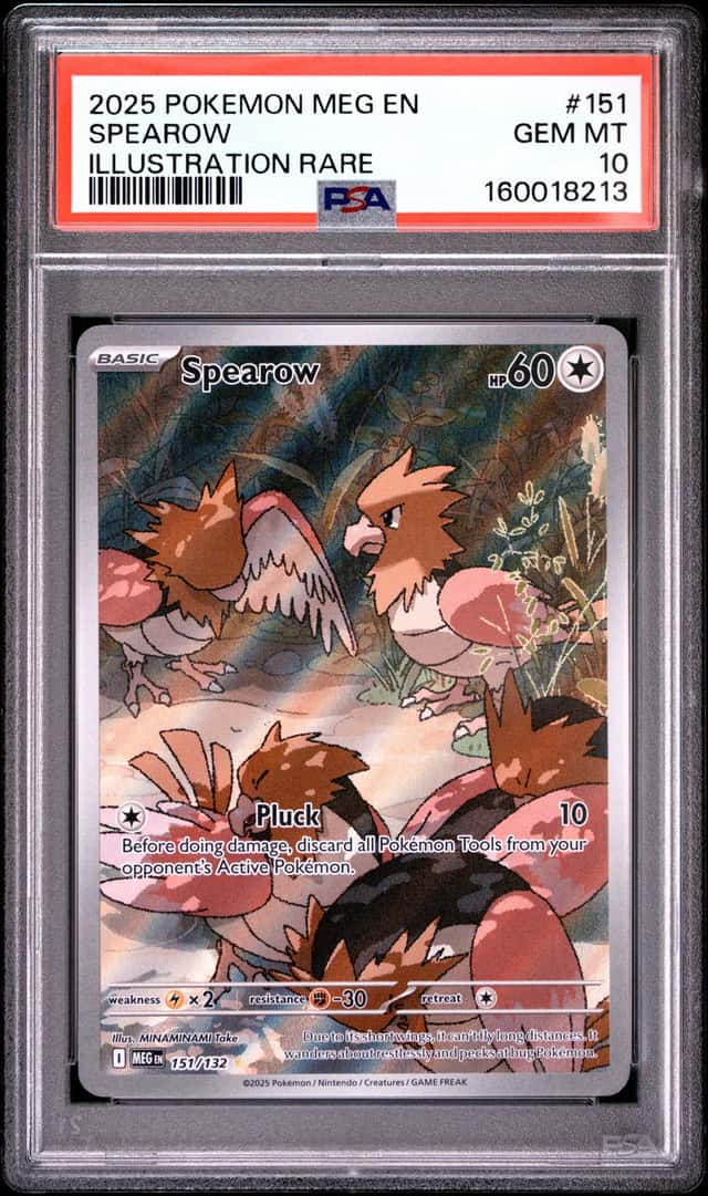 Spearow