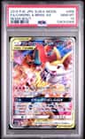 Charizard & Braixen Gx
