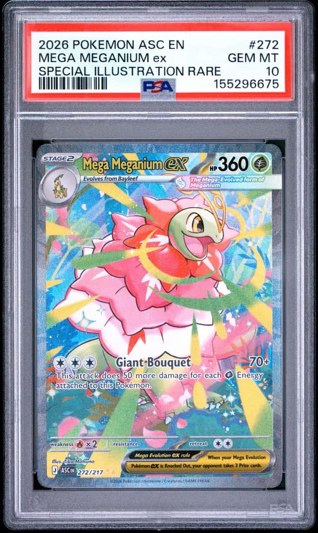 MEGA MEGANIUM ex