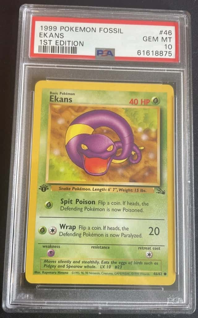 Ekans