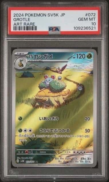 Grotle