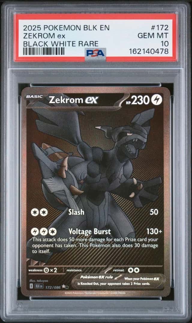 ZEKROM ex