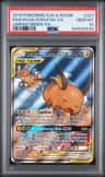 Raichu & Alolan Raichu Gx