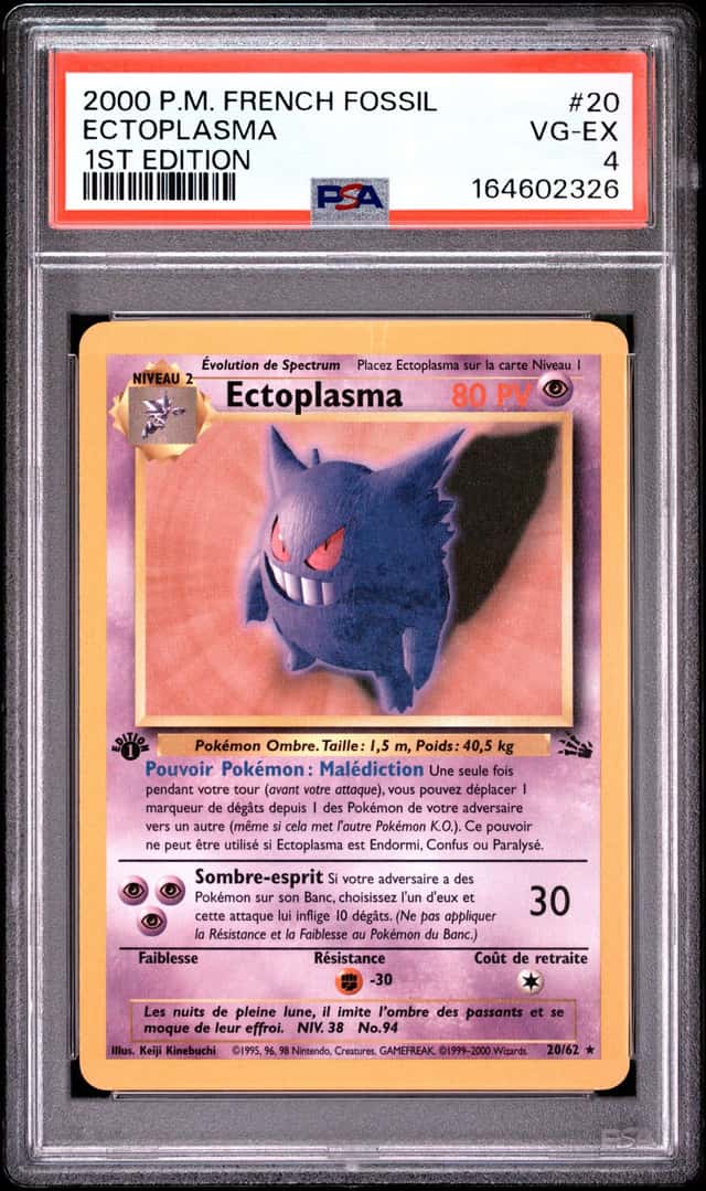 Ectoplasma