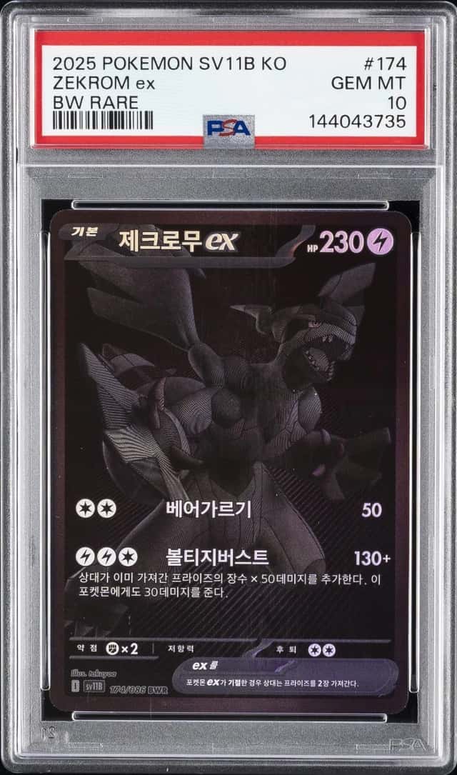 ZEKROM ex