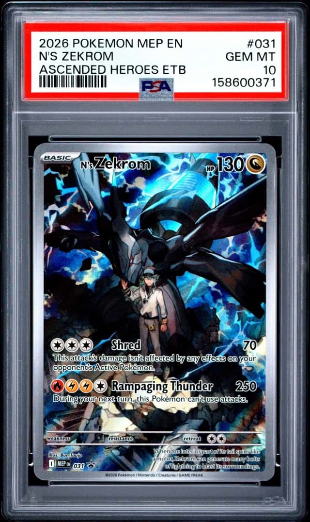 N's Zekrom
