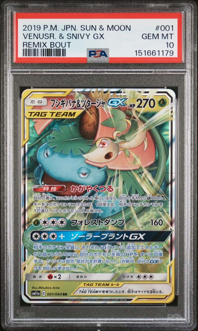 Venusaur & Snivy GX
