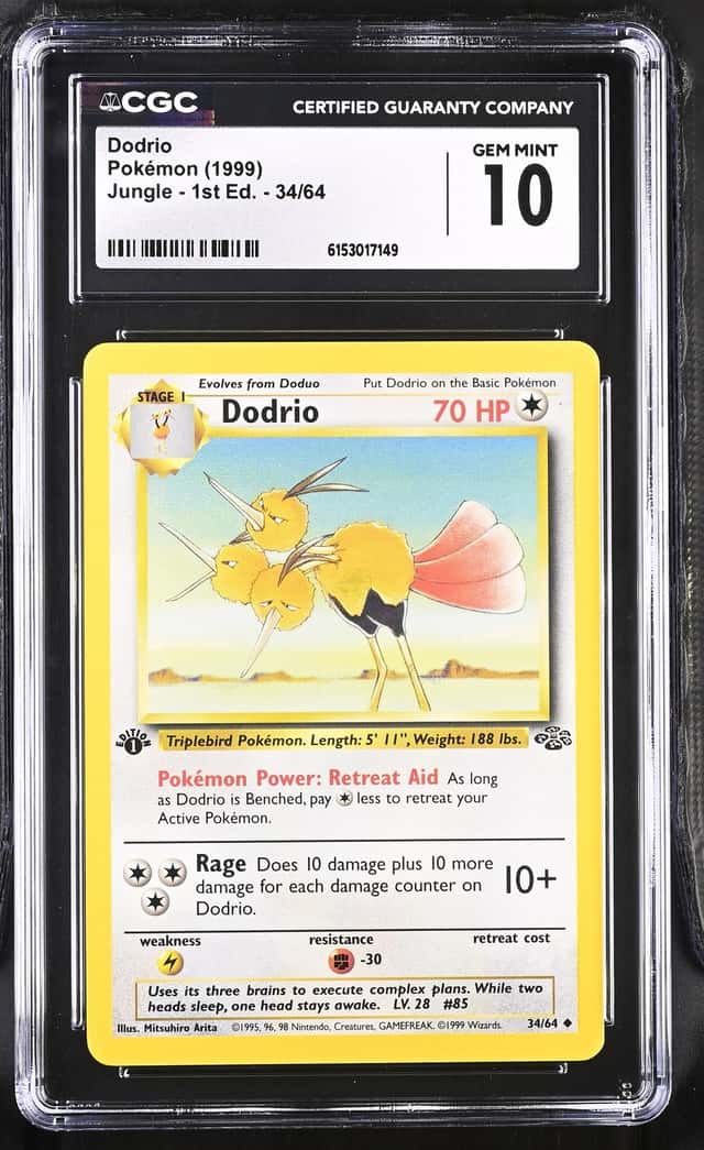 Dodrio