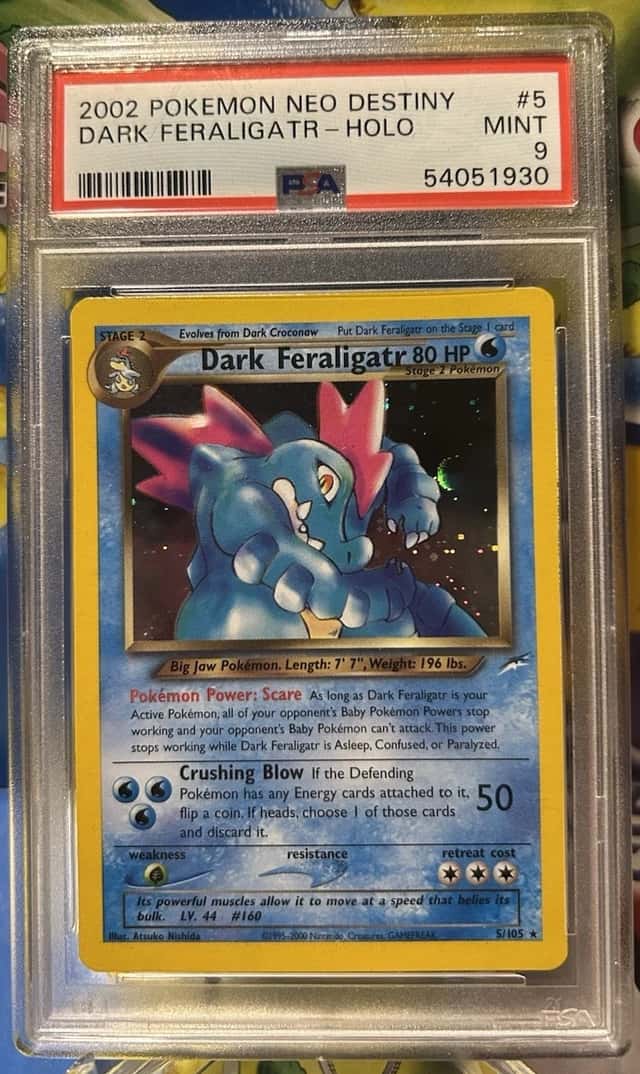Dark Feraligatr