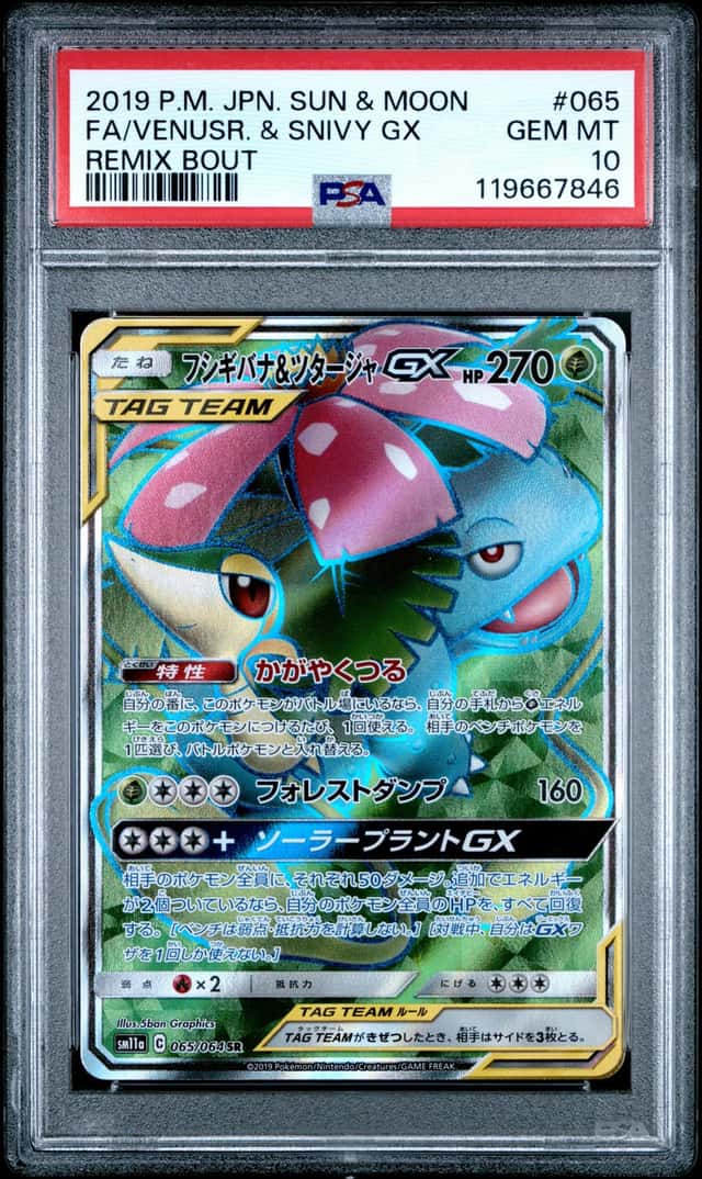Venusaur & Snivy GX