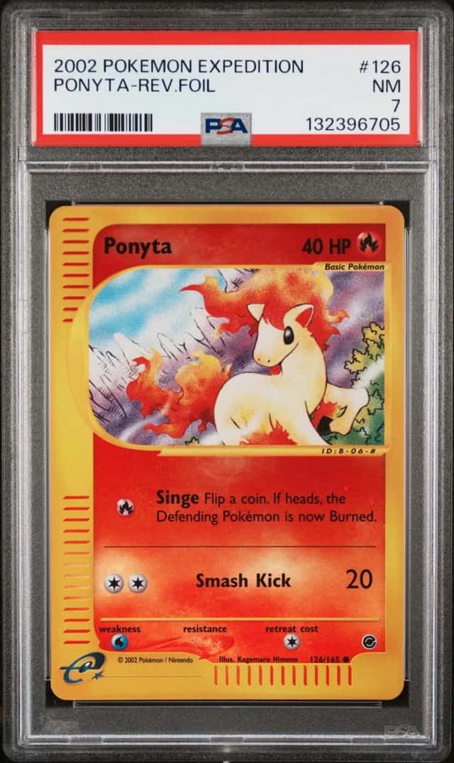 Ponyta