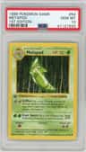 Metapod