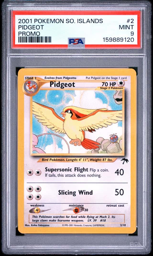 Pidgeot
