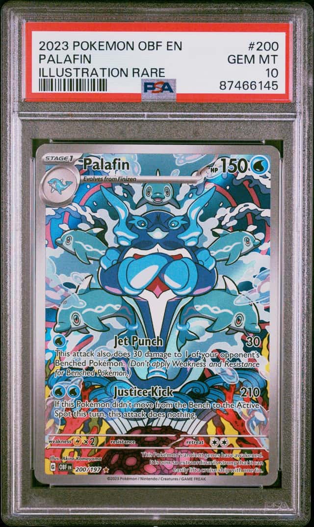Palafin