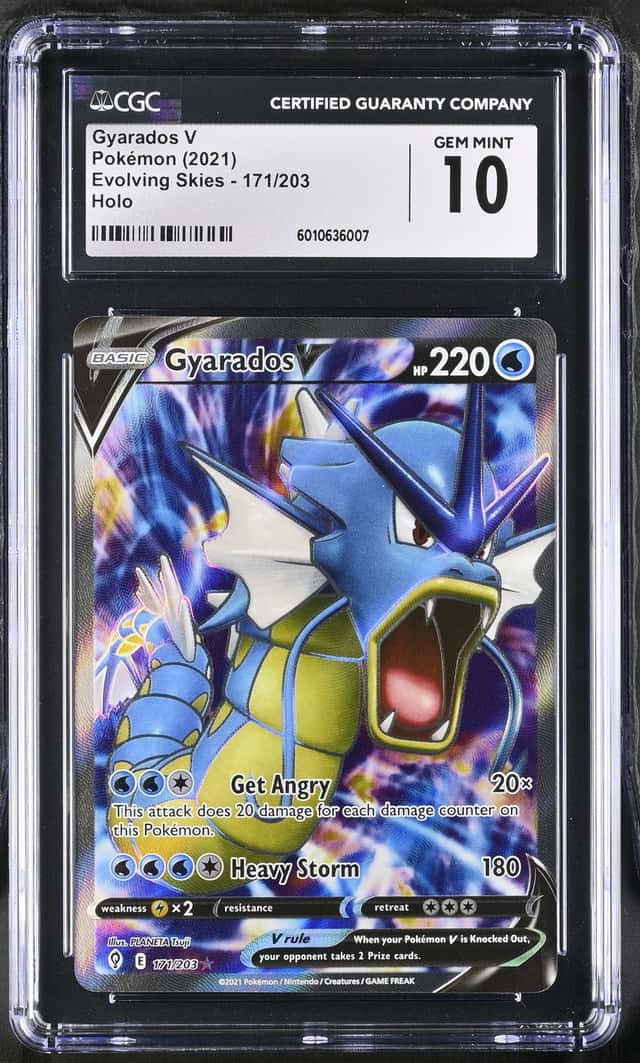 Gyarados V