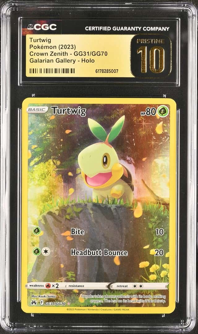 Turtwig