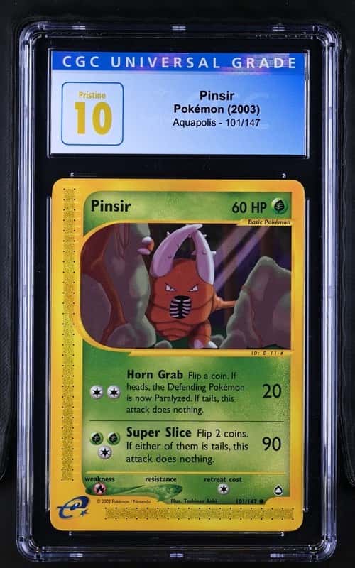 Pinsir